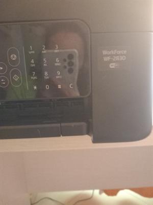 Stampante epson 2830 e canon mg2555s - Anteprima 2