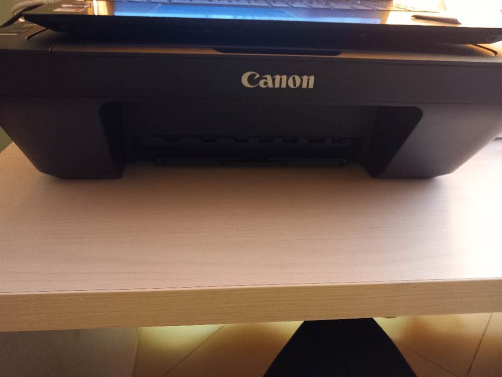 Foto 4Stampante epson 2830 e canon mg2555s