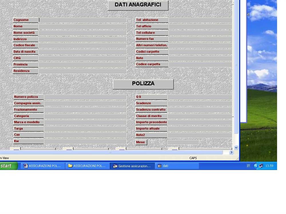 SOFTWARE GESTIONALE ASSICURAZIONI POLIZZE DANNISU PEN DRIV