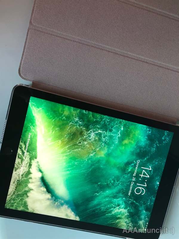 Apple iPad 6. generation 128 GB grigio + cavo + custodia
